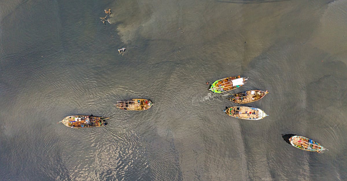 découvrez l'économie bleue : un modèle durable reposant sur l'exploitation responsable des ressources marines et aquatiques pour stimuler la croissance, protéger l'environnement et créer des emplois innovants.