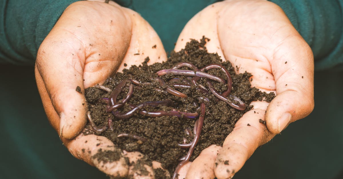 découvrez l'habitat durable : une approche novatrice pour concevoir des espaces de vie respectueux de l'environnement, alliant confort, efficacité énergétique et préservation des ressources naturelles. engagez-vous pour un avenir vert et sain.