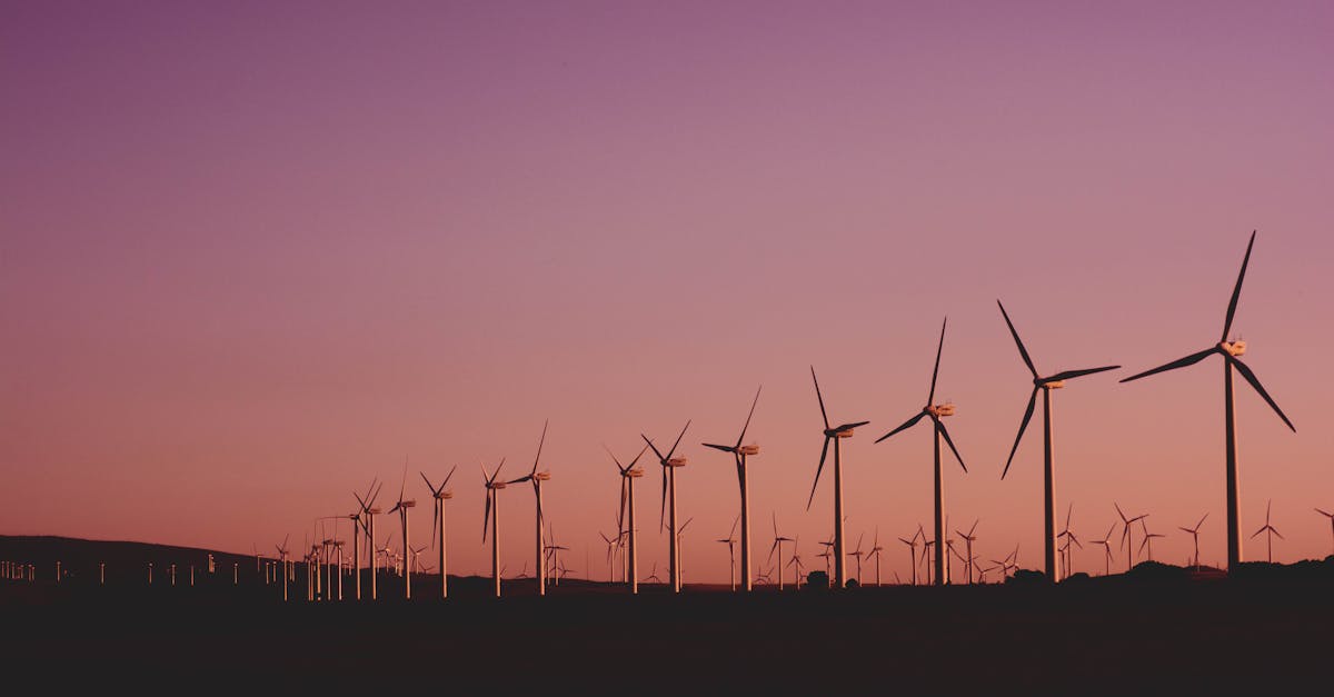 découvrez l'importance de la durabilité dans notre quotidien, des pratiques écoresponsables aux innovations vertes. engagez-vous pour un avenir meilleur en adoptant des solutions durables qui préservent notre planète.
