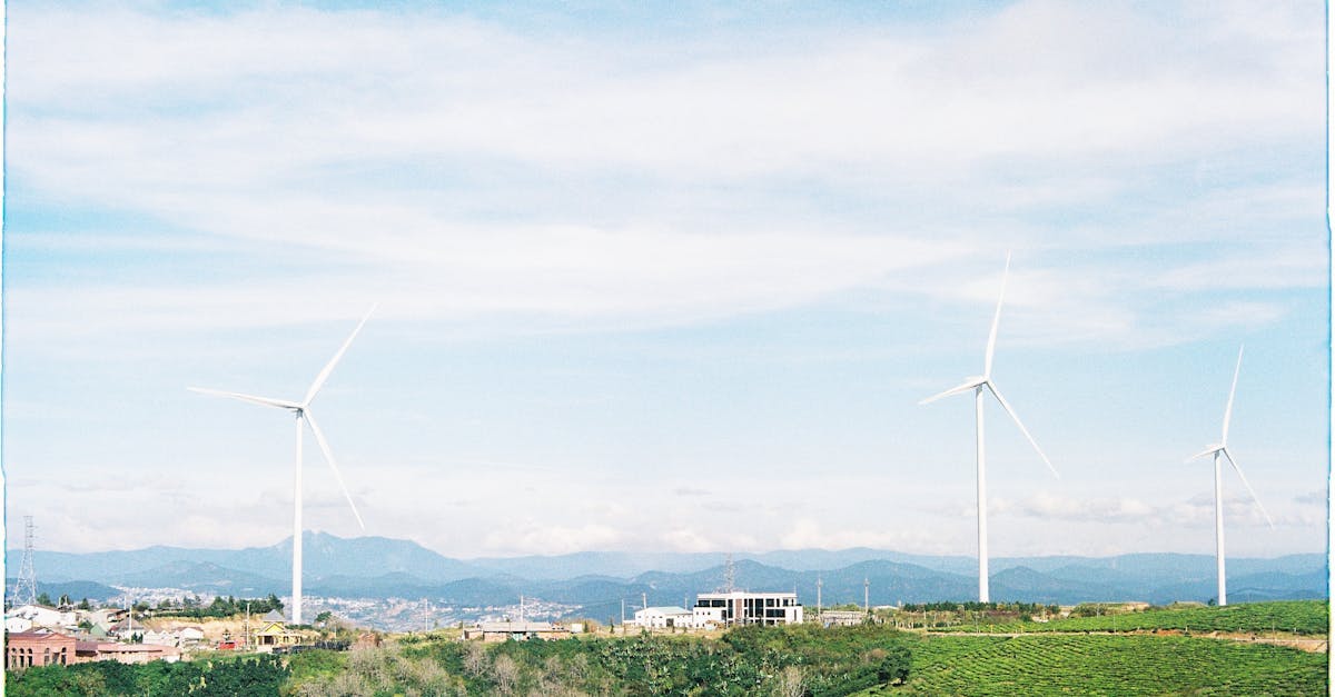 explorez les principes de l'économie verte, qui vise à promouvoir un développement durable en alliant respect de l'environnement, justice sociale et prospérité économique. découvrez comment cette approche innovante transforme nos sociétés et contribue à préserver notre planète pour les générations futures.