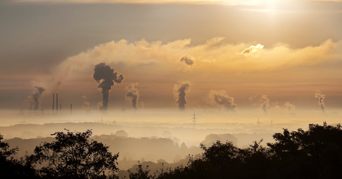 découvrez les différentes facettes de la pollution, ses impacts sur la santé et l'environnement, ainsi que les solutions pour préserver notre planète face à ce fléau croissant. informez-vous sur les actions à entreprendre pour réduire votre empreinte écologique.
