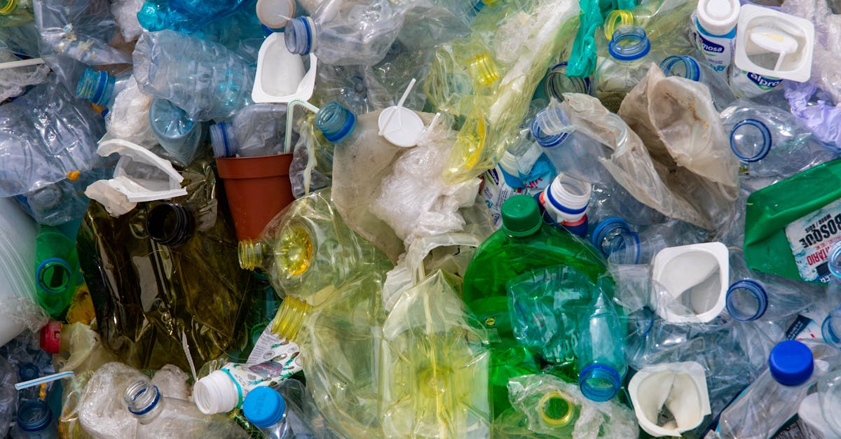 découvrez les avantages de la valorisation des déchets, une approche innovante qui transforme les déchets en ressources précieuses. apprenez comment cette pratique durable contribue à la protection de l'environnement et à l'économie circulaire.