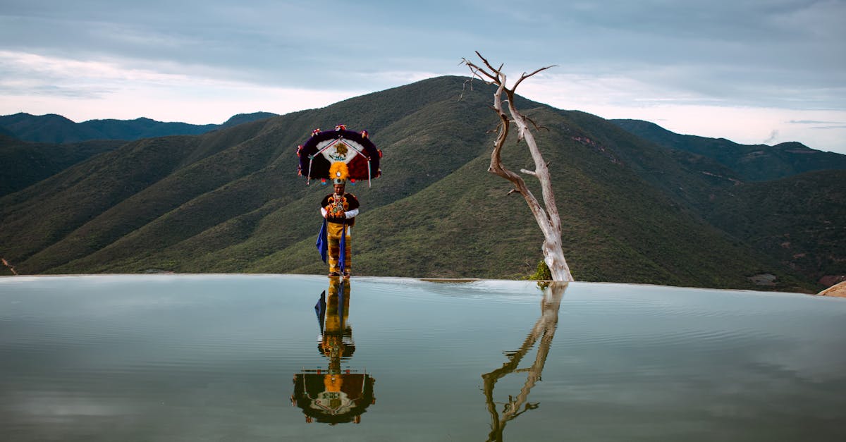 découvrez l'importance de la préservation du patrimoine, un savoir-faire essentiel pour conserver notre histoire, notre culture et nos traditions. apprenez comment chaque geste compte pour protéger les sites historiques et les pratiques culturelles pour les générations futures.