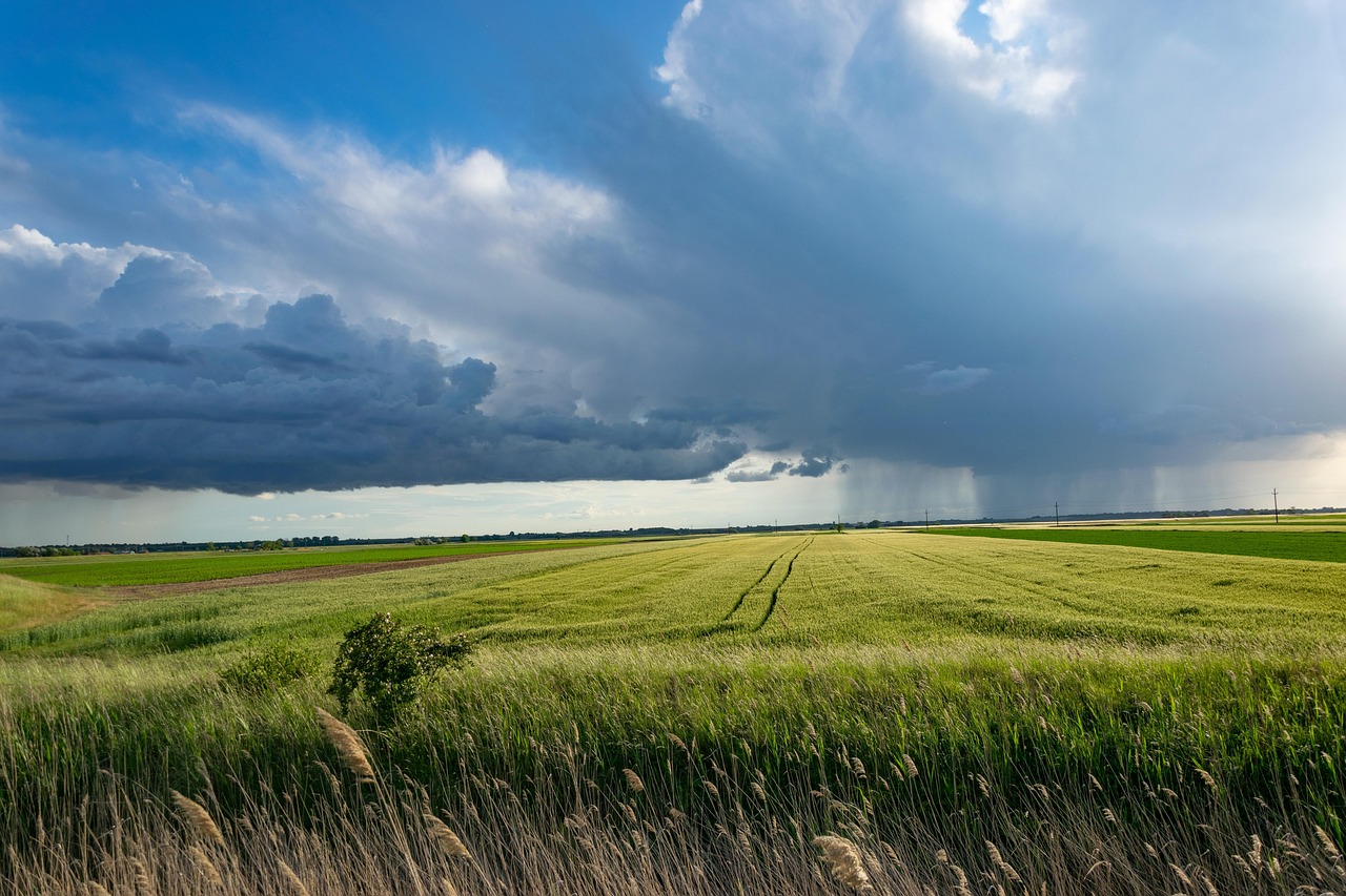 découvrez le monde fascinant de l'agriculture, ses techniques innovantes, et son importance pour notre alimentation et l'environnement. explorez les enjeux actuels et les pratiques durables qui façonnent l'avenir du secteur agricole.