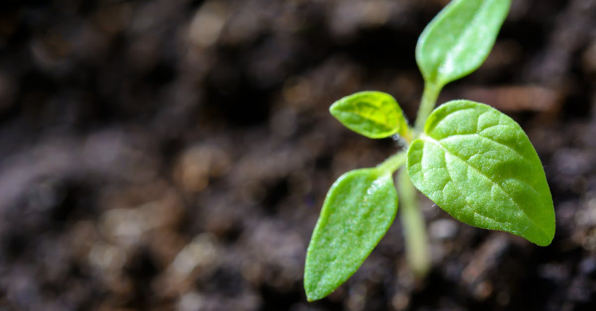 découvrez l'importance de la durabilité et comment adopter des pratiques écoresponsables pour préserver notre planète. explorez des solutions innovantes et engagez-vous pour un avenir plus vert.