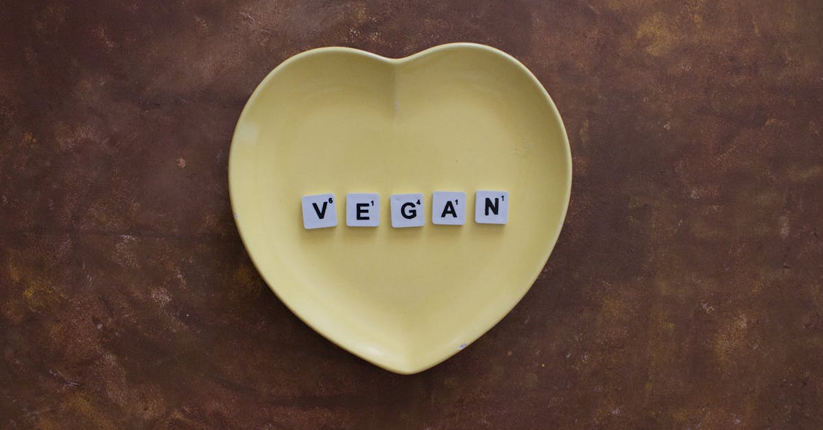 découvrez comment le financement durable favorise la croissance à long terme des entreprises et des projets tout en respectant l'environnement et les enjeux sociaux.