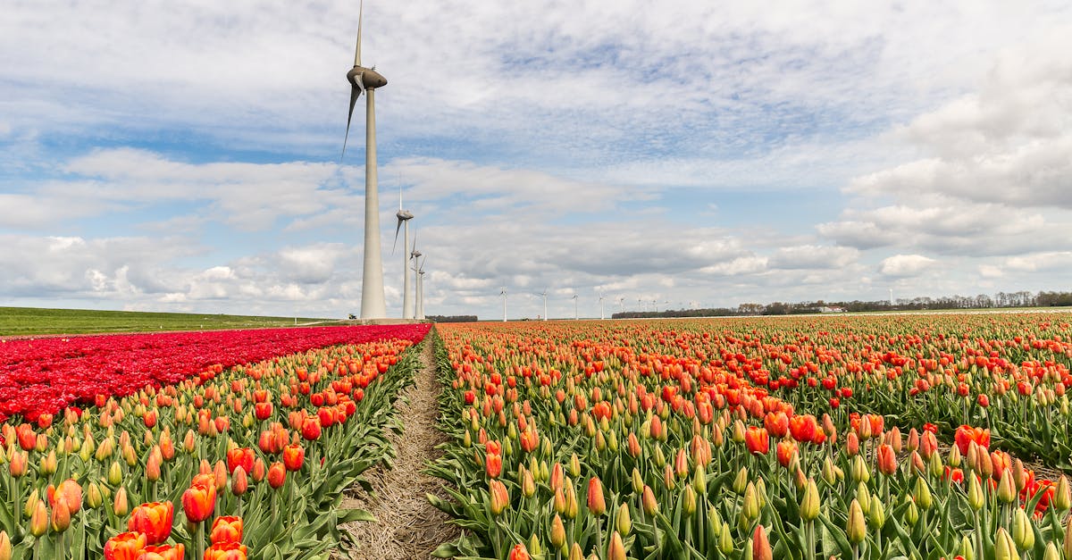 découvrez des solutions innovantes pour le renouvellement de l'énergie, favorisant un avenir durable et respectueux de l'environnement. explorez les technologies vertes et les méthodes efficaces pour optimiser votre consommation énergétique.