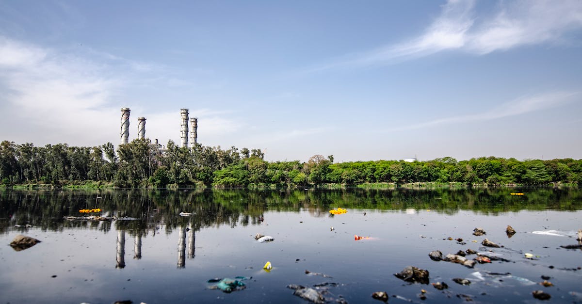 découvrez les méthodes innovantes de valorisation des déchets, une approche durable qui transforme les matériaux inutilisés en ressources précieuses, contribuant ainsi à une économie circulaire et à la préservation de l'environnement.