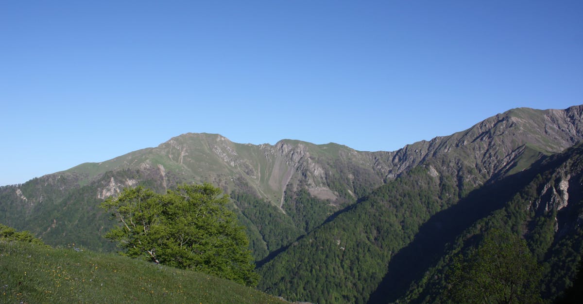 découvrez l'investissement durable : une approche qui allie performance financière et impact positif sur l'environnement. apprenez à choisir des placements éthiques qui soutiennent le développement durable et contribuent à un avenir meilleur.