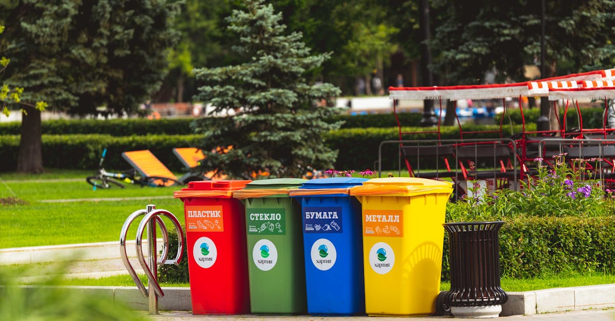 découvrez nos initiatives écologiques innovantes visant à promouvoir un développement durable, réduire l'empreinte carbone et préserver notre planète pour les générations futures. rejoignez le mouvement vers une vie plus verte dès aujourd'hui.