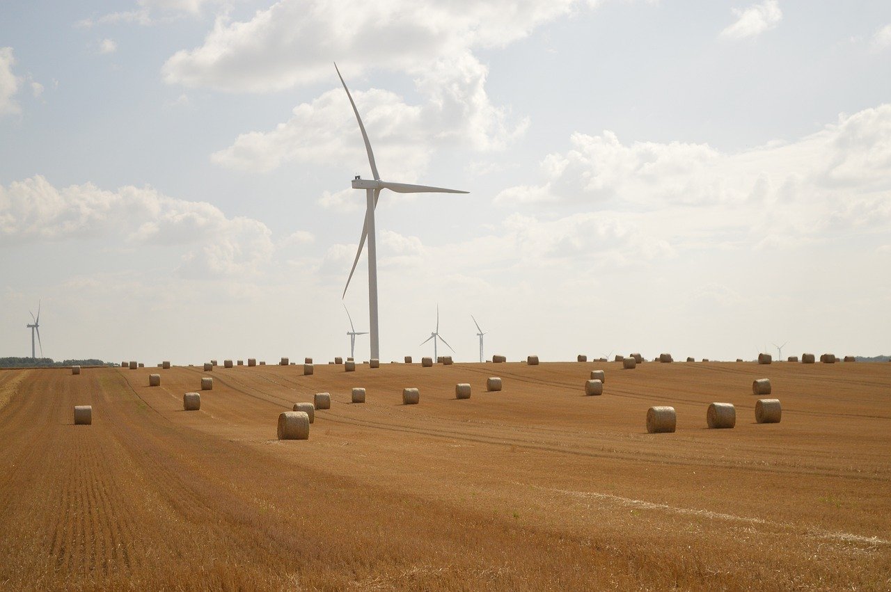 découvrez comment réussir la transition durable en adoptant des pratiques écologiques et responsables pour un impact positif sur l’environnement et la société.
