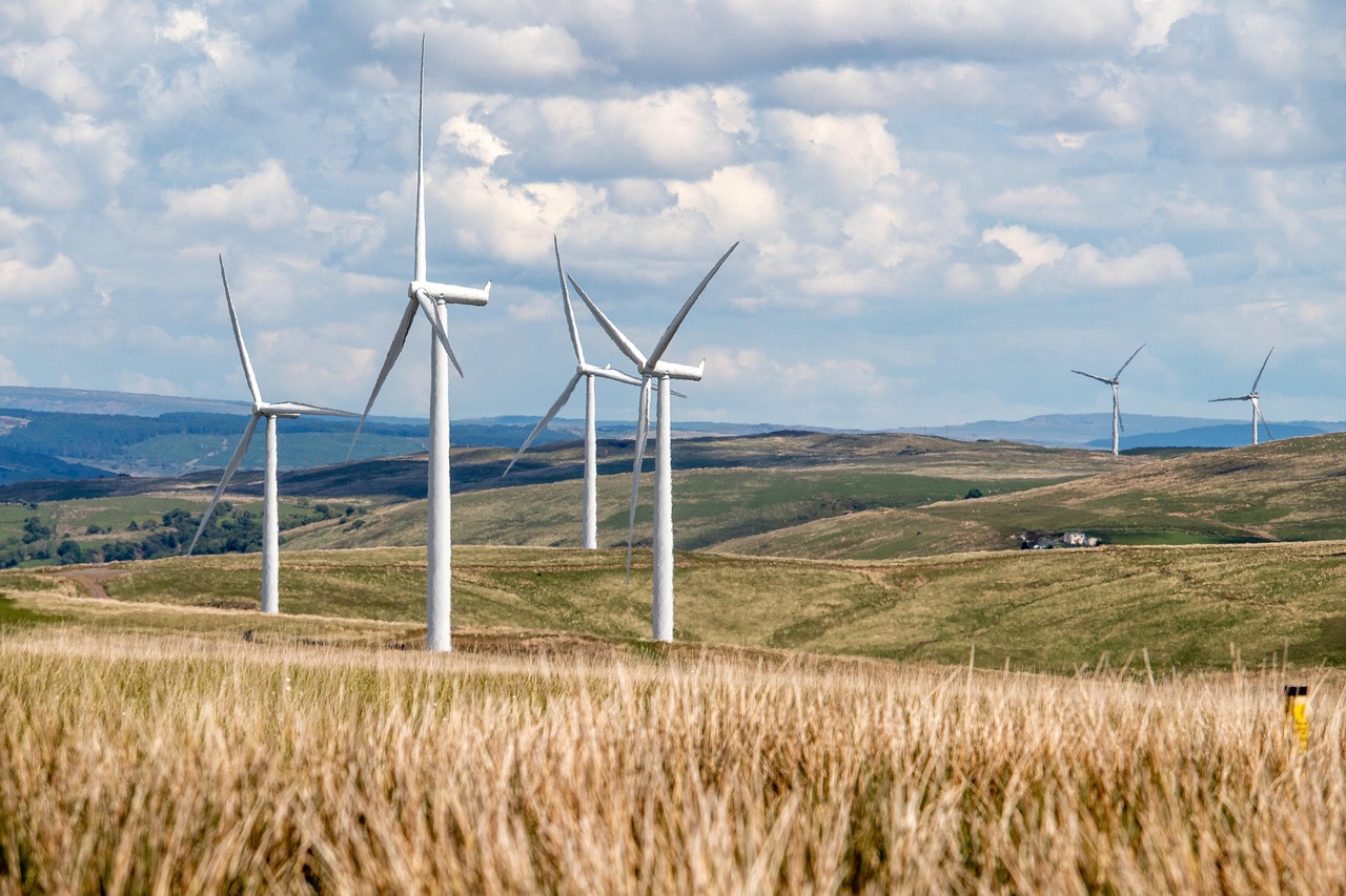 découvrez notre engagement envers la durabilité avec des solutions écologiques innovantes. rejoignez-nous dans notre quête pour un avenir plus vert et responsable.