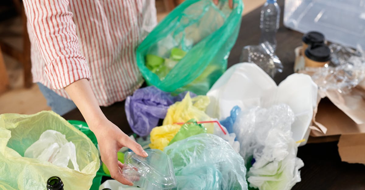 découvrez des pratiques durables innovantes qui favorisent la protection de l'environnement tout en améliorant la qualité de vie. apprenez comment adopter des habitudes écoresponsables au quotidien pour un avenir plus vert.