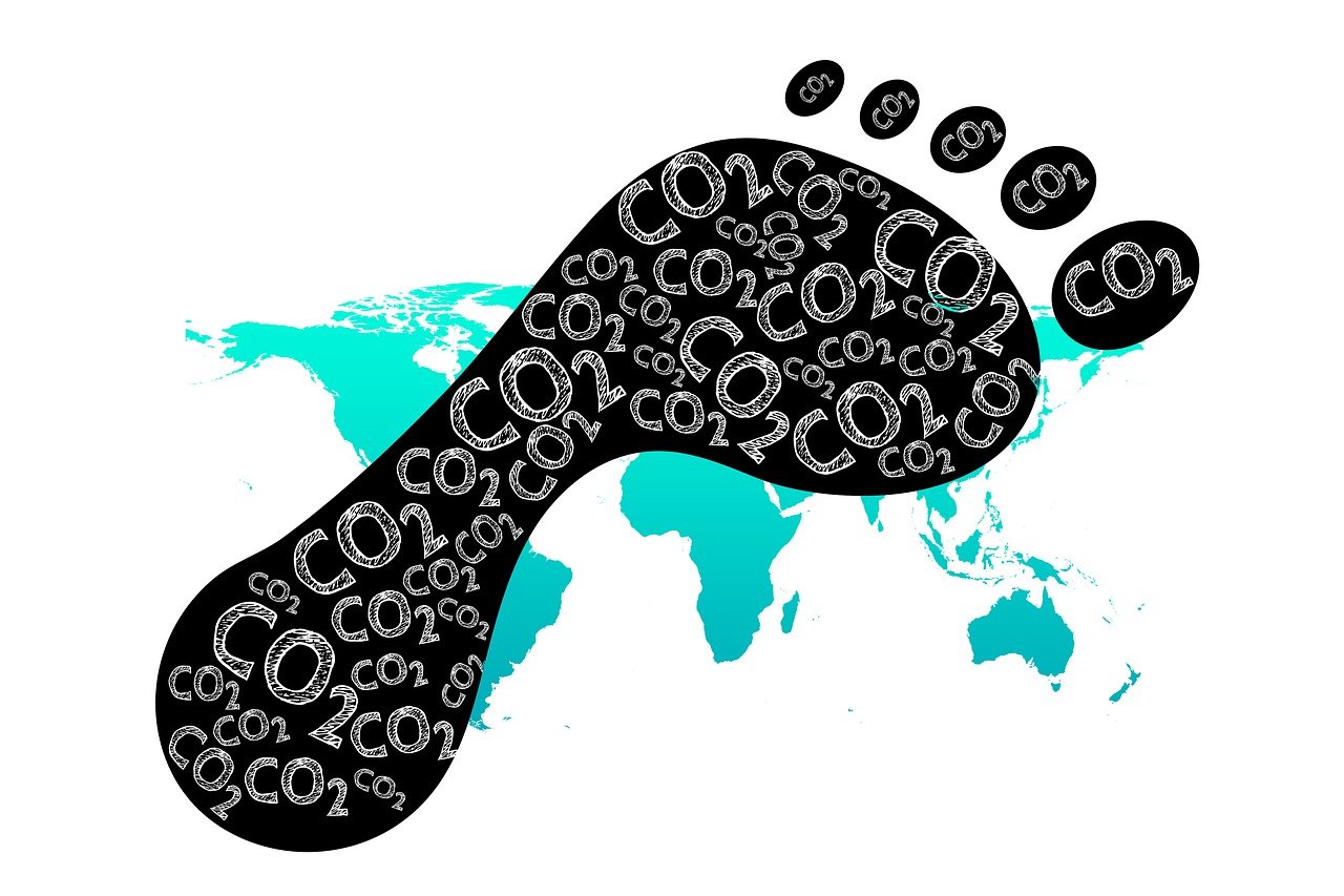 découvrez l'empreinte écologique, une mesure de l'impact humain sur l'environnement. apprenez comment réduire votre empreinte pour un avenir durable et respectueux de la planète.