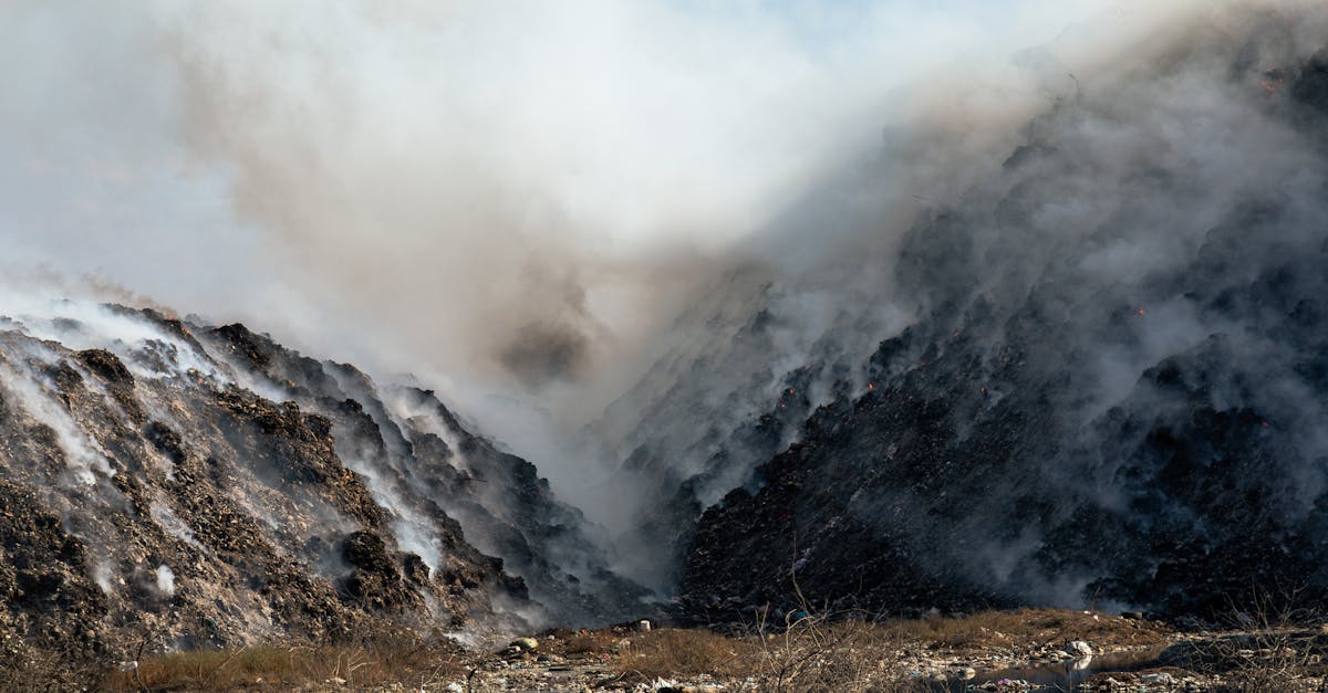 découvrez les impacts environnementaux majeurs de nos activités quotidiennes, analyses des effets sur la biodiversité, le climat et les ressources naturelles, et explorez des solutions durables pour préserver notre planète.