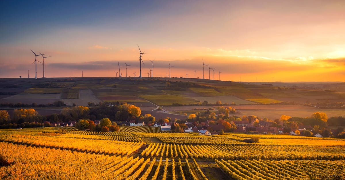 découvrez comment la durabilité transforme notre monde. explorez des pratiques éco-responsables, des innovations vertes et des solutions pour un avenir meilleur. engagez-vous pour une planète plus saine et apprenez à adopter un mode de vie durable.