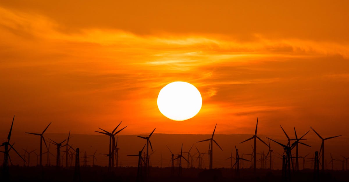 découvrez l'énergie renouvelable, une solution durable pour un avenir plus vert. apprenez comment les sources d'énergie alternatives comme le solaire, l'éolien et l'hydraulique contribuent à la protection de notre planète tout en répondant à nos besoins énergétiques.