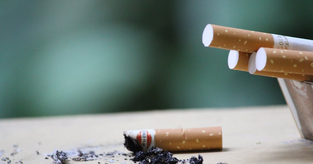 la valorisation des déchets est un processus innovant qui transforme les matières résiduelles en ressources utiles, contribuant ainsi à la durabilité environnementale et à l'économie circulaire. découvrez comment cette pratique peut réduire les déchets tout en offrant des solutions écologiques et économiques.