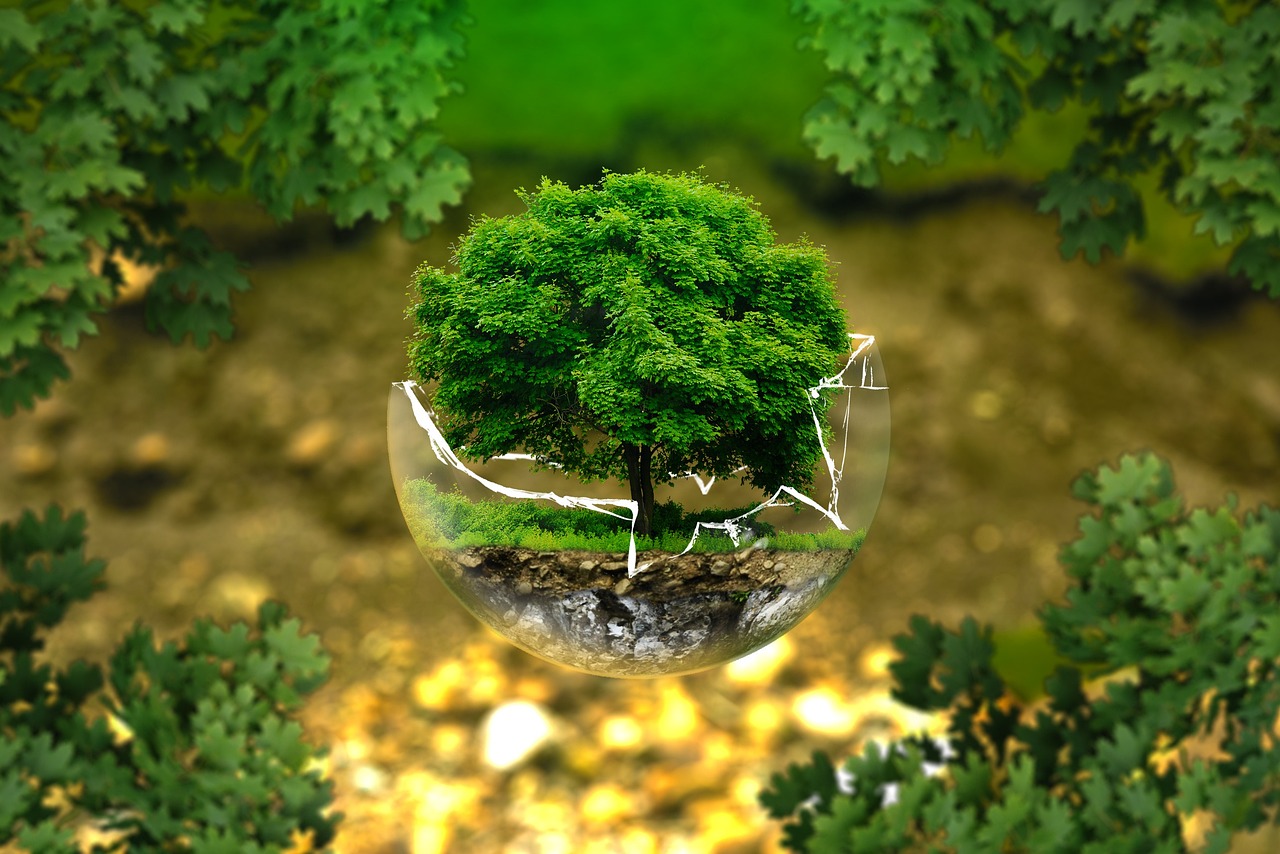 découvrez les enjeux liés à l'impact environnemental, ses causes, ses conséquences sur la planète et des solutions pour réduire votre empreinte écologique au quotidien.