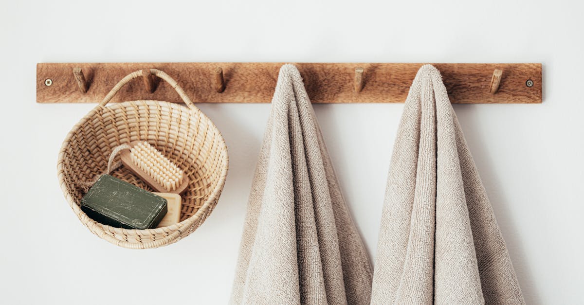 découvrez les solutions durables qui préservent notre planète et favorisent un avenir respectueux de l'environnement. explorez nos initiatives écologiques et engagez-vous pour une vie plus verte.