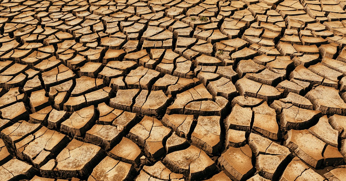 découvrez les enjeux liés aux préoccupations climatiques, leurs impacts sur la planète, et les solutions pour un avenir durable. informez-vous sur les actions possibles face au changement climatique.