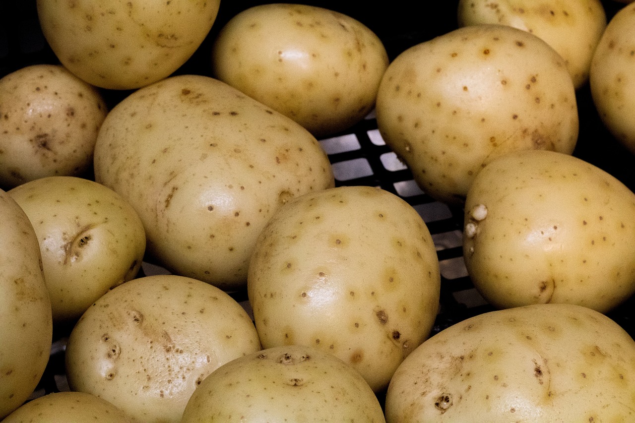 découvrez des conseils pratiques et des solutions innovantes pour réduire le gaspillage alimentaire et adopter une consommation responsable.