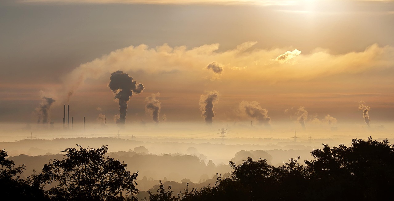 découvrez l'impact environnemental de shein et comment cette marque de mode rapide influence l'écosystème à travers ses pratiques de production et de consommation.