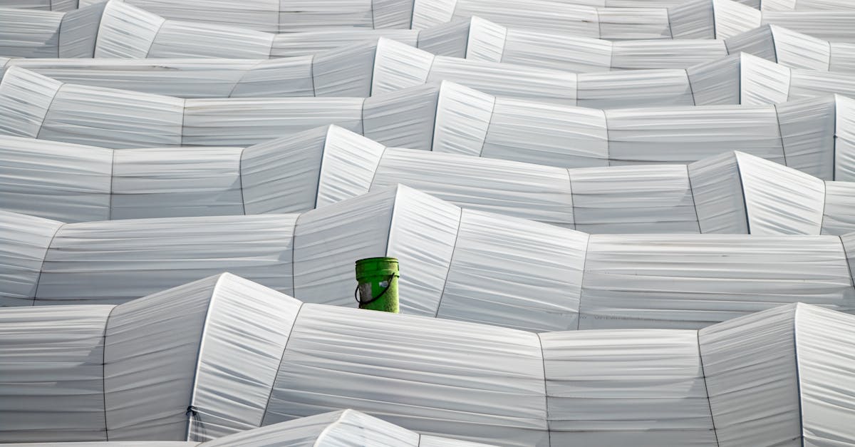 découvrez les enjeux et les impacts de l'interdiction du plastique. explorez les alternatives durables, les initiatives mondiales et comment cette mesure vise à protéger l'environnement et réduire la pollution.