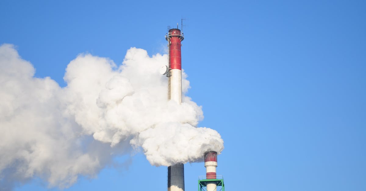 découvrez comment réduire votre empreinte carbone et adopter des pratiques durables. informez-vous sur les impacts environnementaux, les astuces pour diminuer votre consommation d'énergie et les actions simples à entreprendre pour contribuer à la protection de notre planète.
