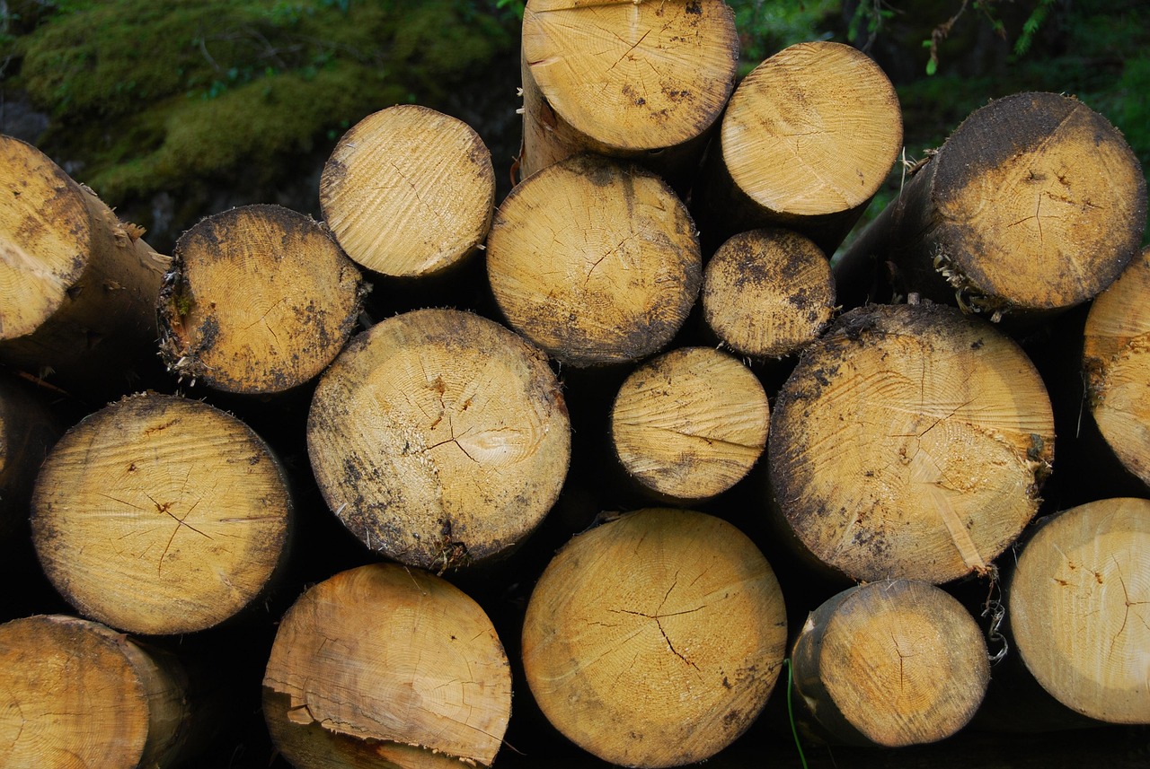 découvrez la biomasse, une source d'énergie renouvelable provenant de matières organiques. apprenez comment elle contribue à la durabilité environnementale et explorez ses applications dans la production d'énergie et la lutte contre le changement climatique.