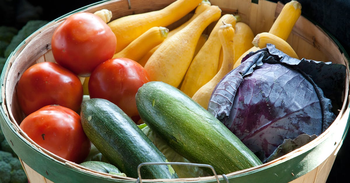découvrez les bienfaits d'une alimentation durable, alliant respect de l'environnement et santé. apprenez à choisir des aliments responsables, à réduire votre empreinte carbone et à adopter un mode de vie sain et équilibré tout en préservant notre planète.