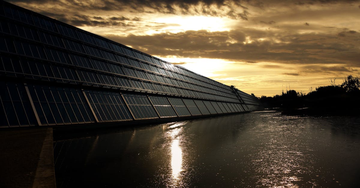 découvrez les enjeux du développement durable et apprenez comment promouvoir une croissance économique respectueuse de l'environnement. explorez des solutions innovantes et des pratiques responsables pour un avenir meilleur.