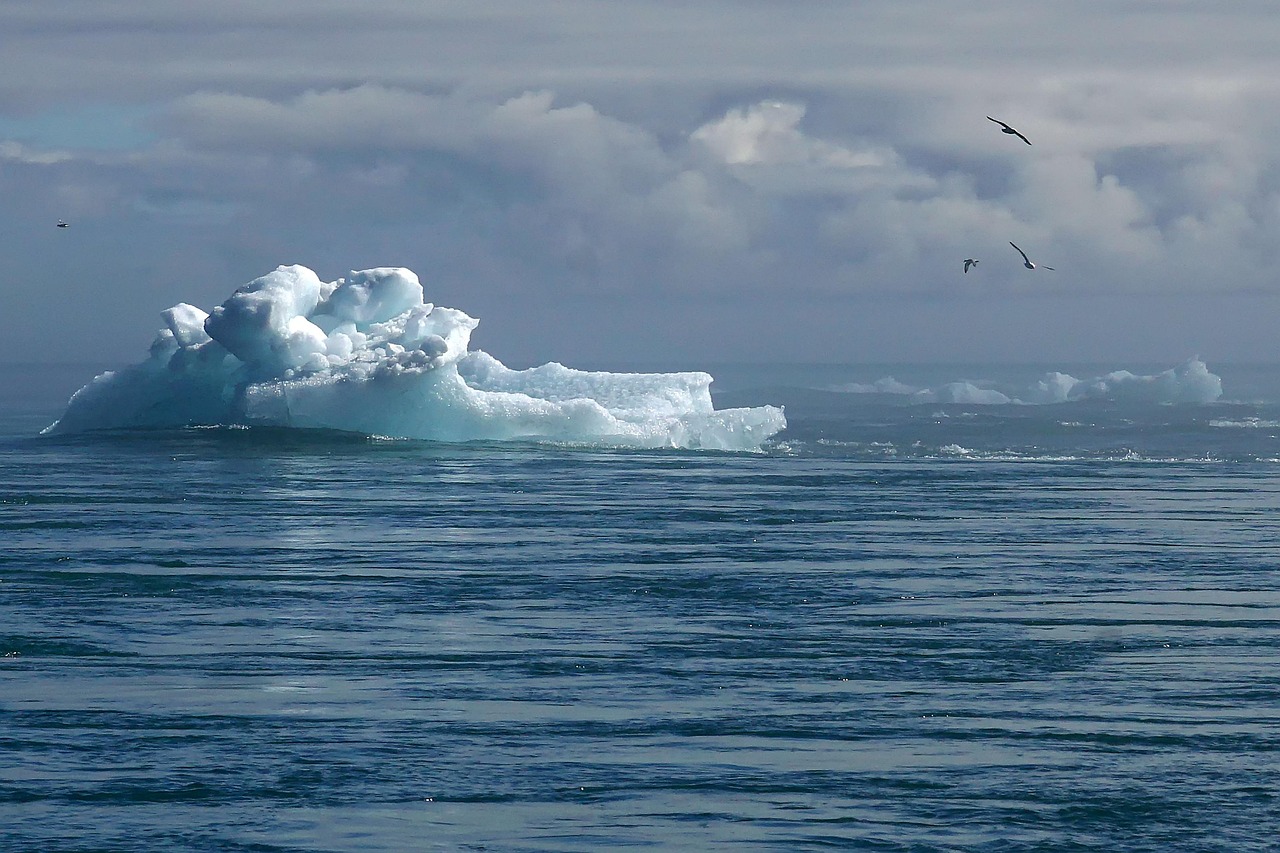 découvrez les causes, les conséquences et les solutions possibles face au changement climatique. informez-vous sur les actions à mener pour protéger notre planète et lutter contre le réchauffement global.
