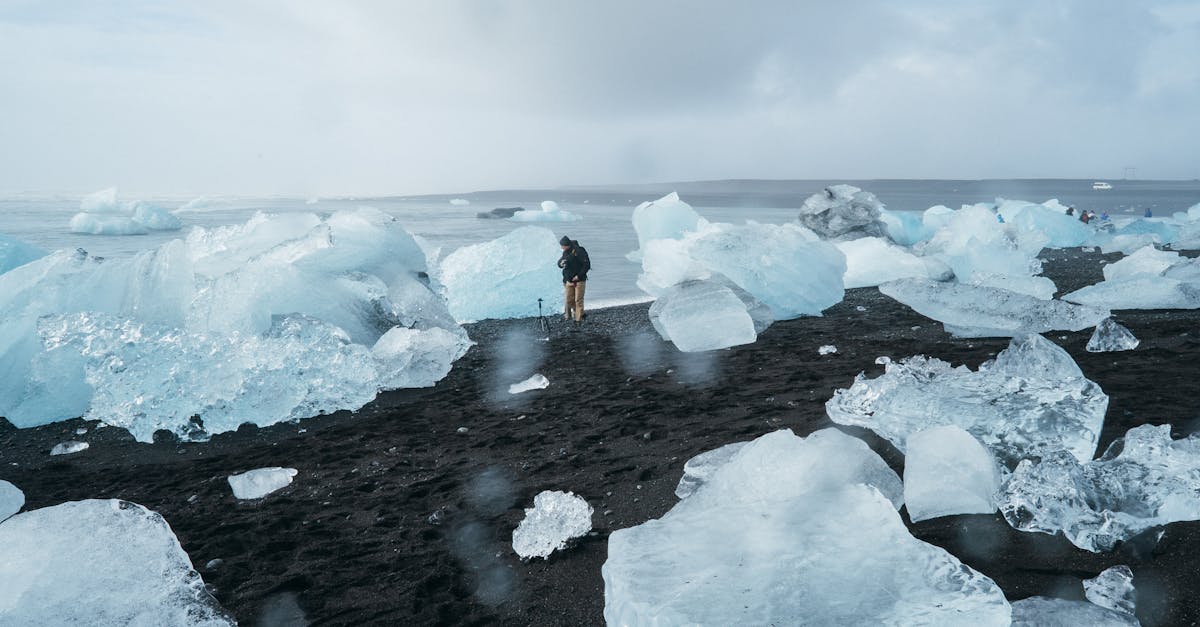 découvrez comment le changement climatique impacte notre planète, explorez ses causes, ses conséquences et les actions à entreprendre pour préserver notre environnement pour les générations futures.