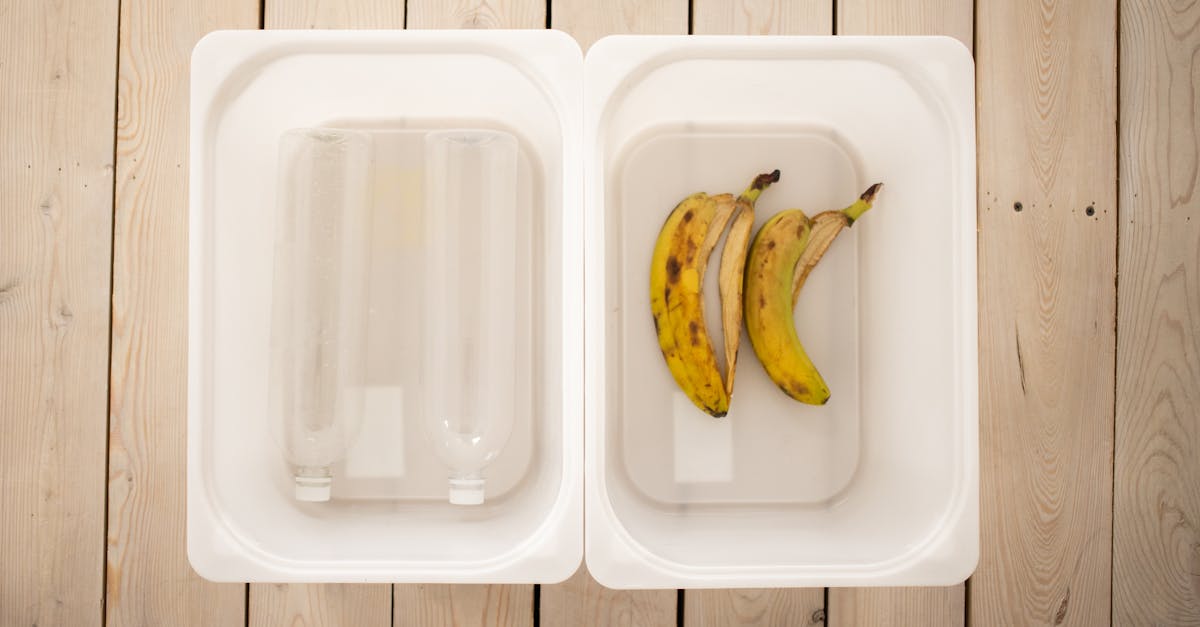découvrez l'importance des déchets organiques et leur rôle essentiel dans la durabilité environnementale. apprenez comment les recycler, réduire leur impact et transformer votre jardin grâce à des pratiques écoresponsables.
