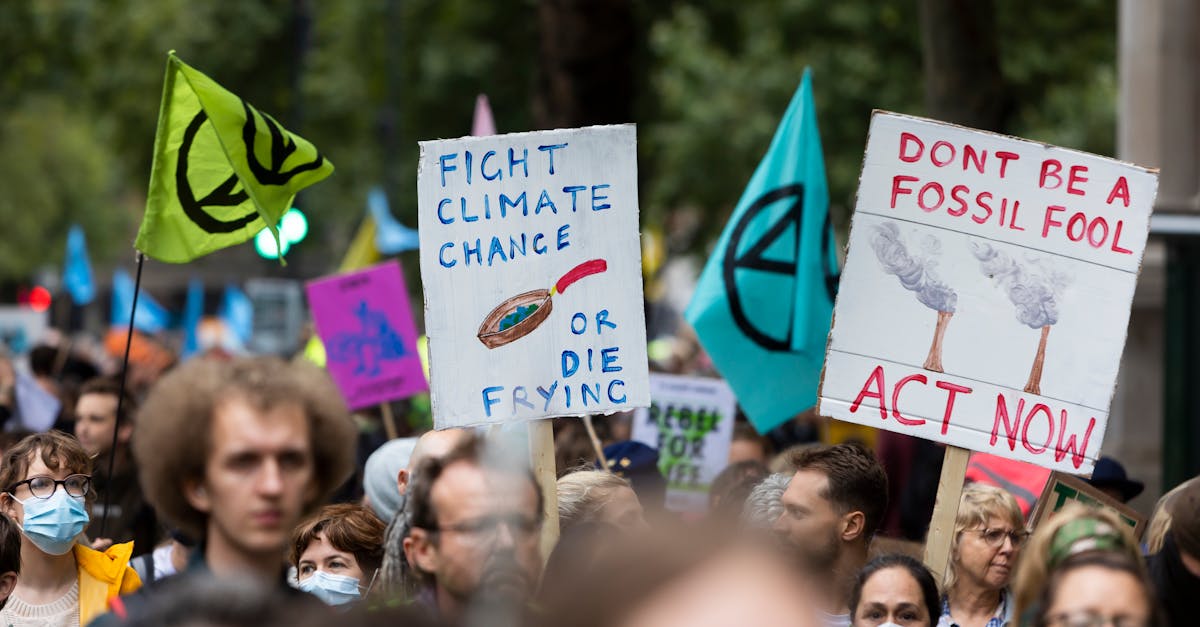 découvrez ce qu'est la démocratie écologique : un modèle politique où gouvernance, participation citoyenne et respect de l’environnement s’allient pour construire une société durable et juste.