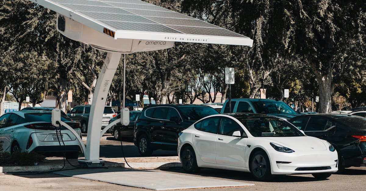 découvrez les innovations durables qui transforment notre avenir. explorez des technologies écologiques, des pratiques responsables et des solutions innovantes pour un développement durable. engagez-vous pour un monde meilleur grâce à des initiatives qui allient progrès et respect de l'environnement.