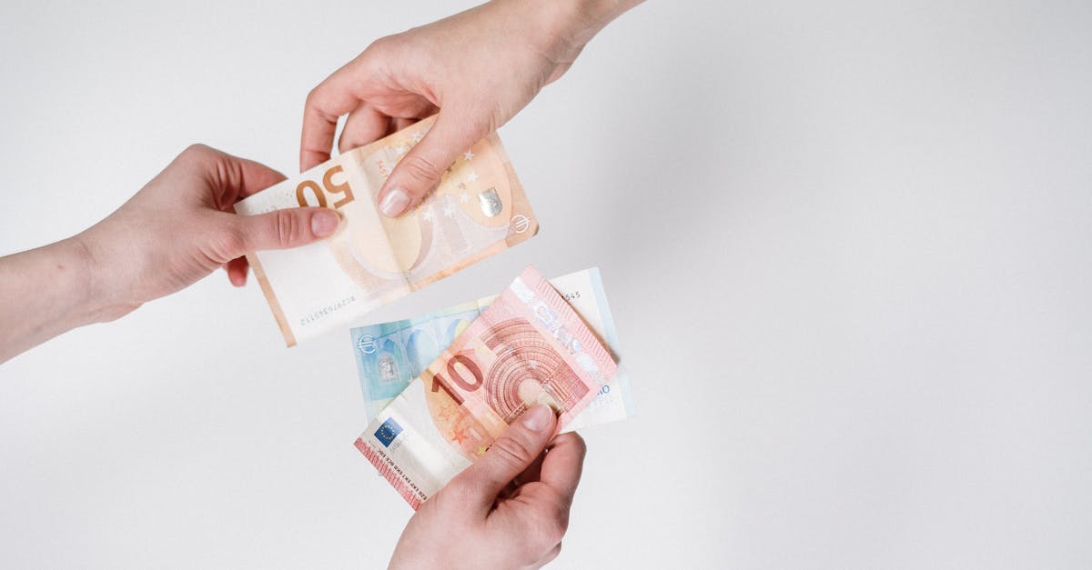 découvrez comment la transition vers une économie verte transforme nos sociétés et préserve notre environnement. explorez les innovations, les énergies renouvelables et les pratiques durables qui favorisent un avenir plus respectueux de la planète.