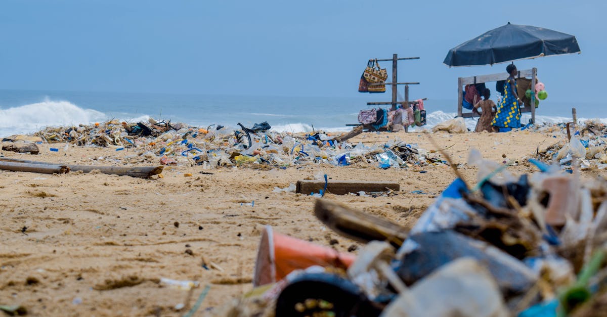 découvrez les enjeux de la pollution, ses causes et ses conséquences sur l'environnement et la santé. informez-vous sur les mesures à prendre pour réduire votre impact écologique et contribuer à un avenir plus durable.