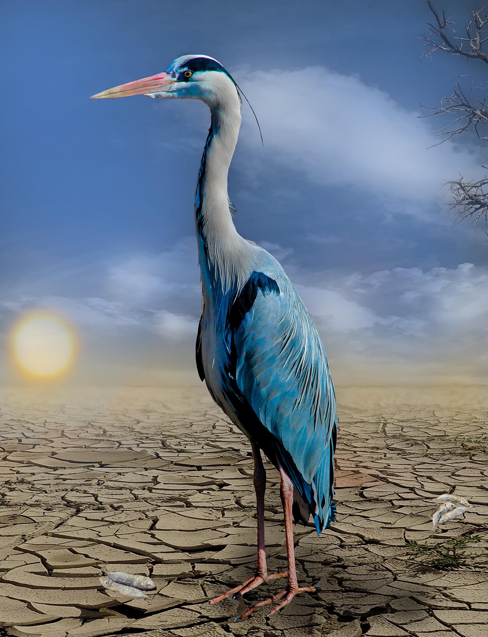 découvrez comment renforcer la résilience face au climat : stratégies, solutions et actions pour s'adapter efficacement aux changements climatiques et protéger votre avenir.