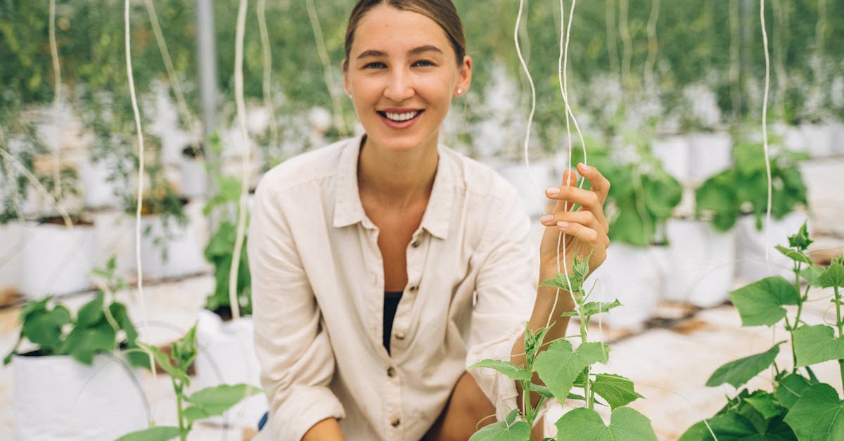 découvrez comment l'innovation verte transforme notre avenir grâce à des technologies durables et des pratiques respectueuses de l'environnement. explorez les solutions novatrices qui réduisent l'impact écologique et favorisent un mode de vie durable.