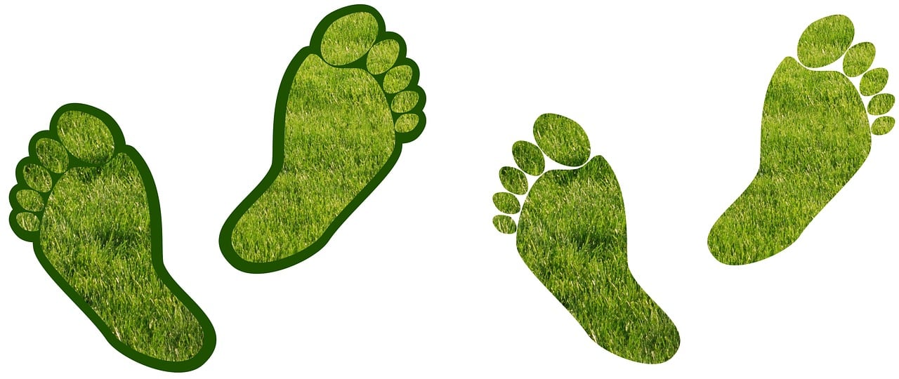 découvrez ce qu'est l'empreinte carbone, comment elle est calculée et pourquoi il est important de la réduire pour protéger l'environnement et lutter contre le changement climatique.