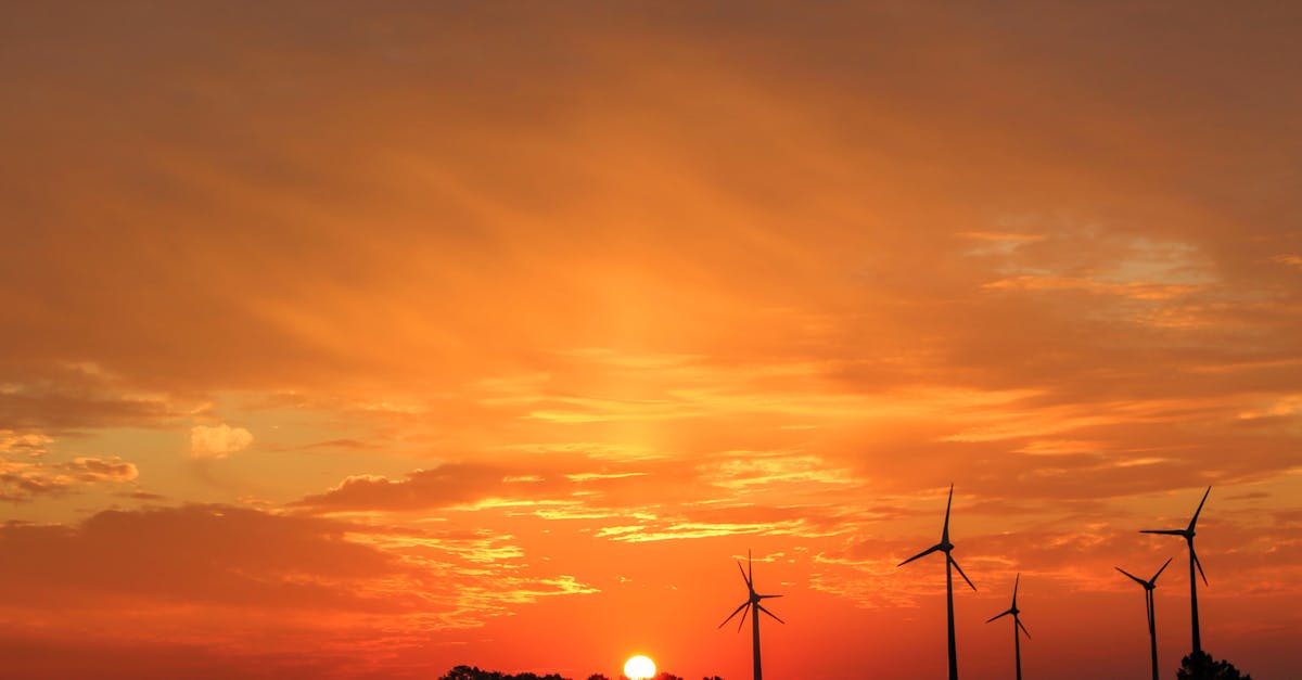 découvrez l'énergie éolienne, une source d'énergie renouvelable essentielle qui utilise la force du vent pour produire de l'électricité propre et durable. apprenez comment cette technologie contribue à la lutte contre le changement climatique et favorise un avenir énergétique durable.
