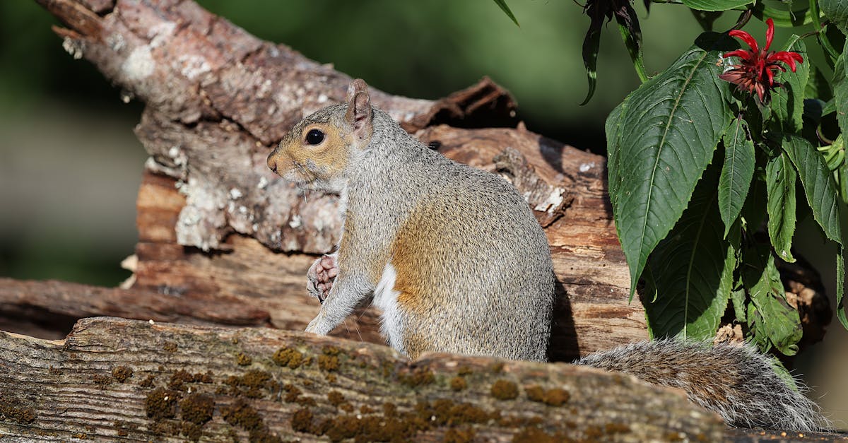 Réformation écologique : vers un avenir durable et responsable
