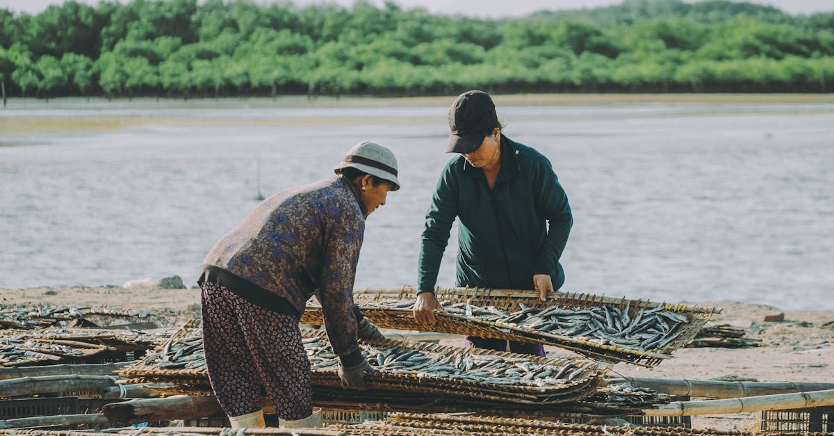 Utilisation responsable des ressources : adopter des pratiques durables au quotidien