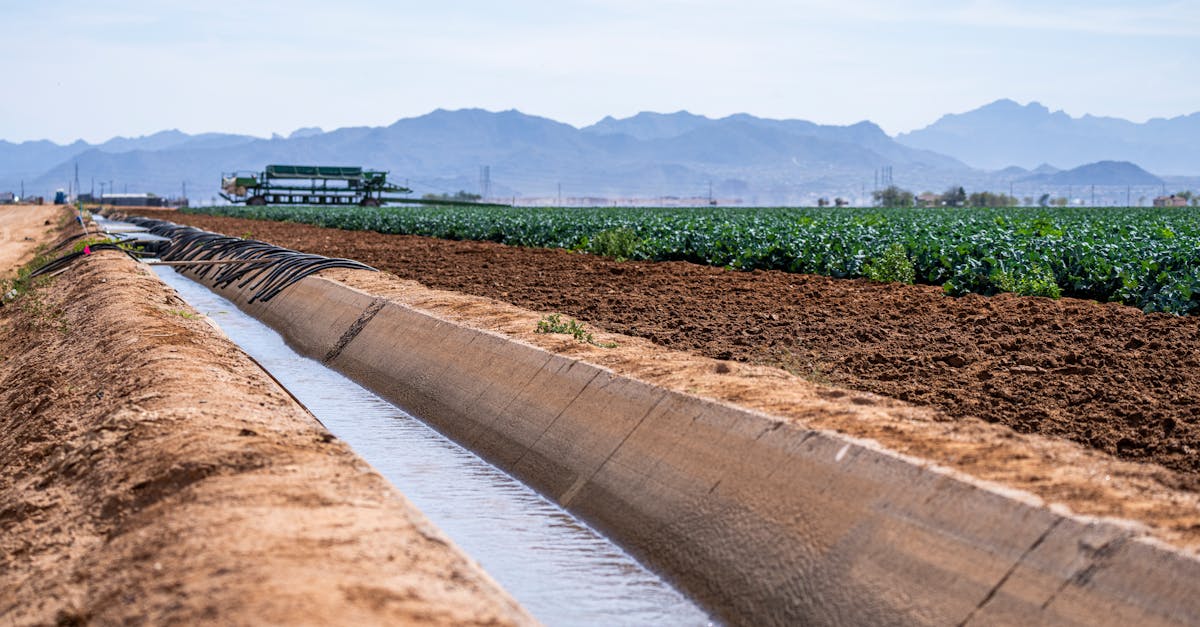 Ressources en eau durable : enjeux et solutions pour un avenir préservé