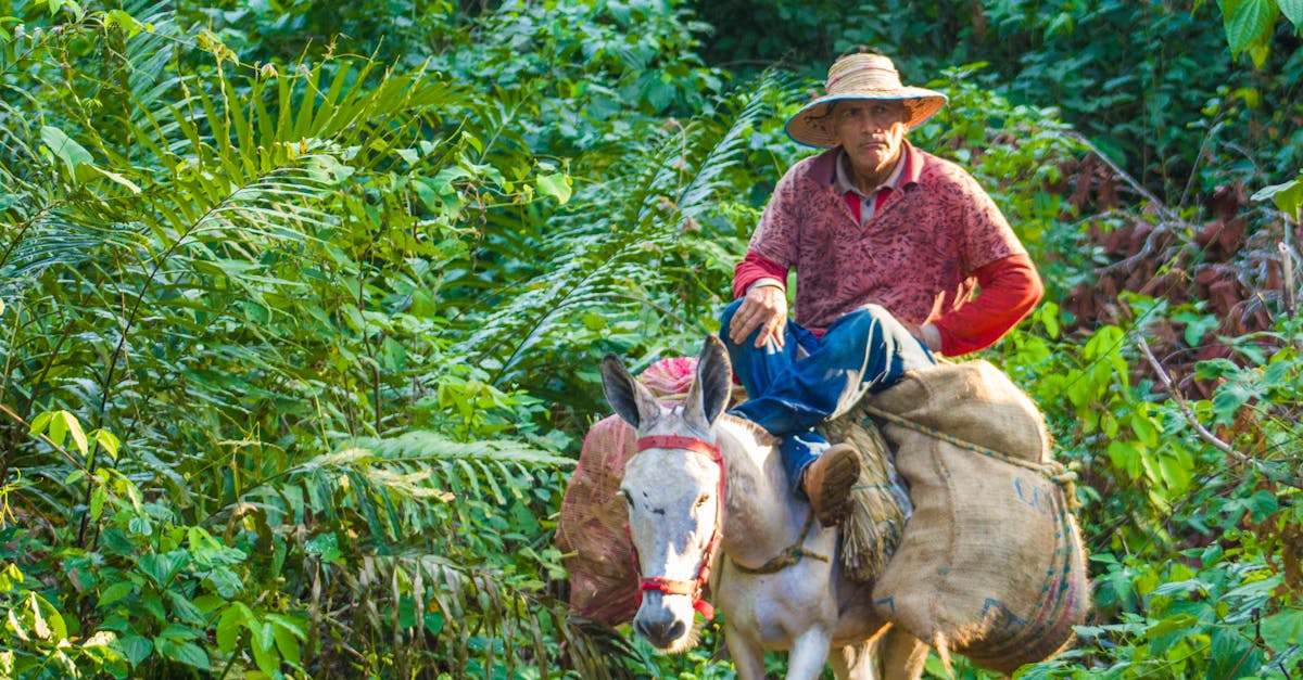 Démocratie écologique : Vers un avenir durable et participatif