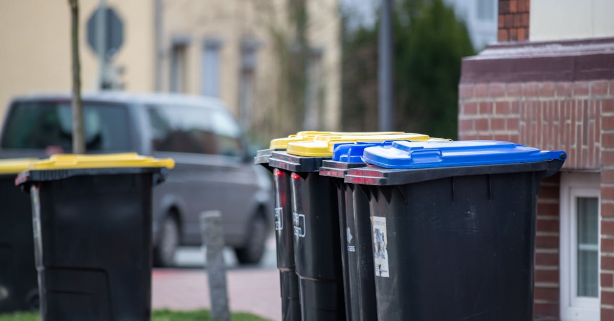 Assainissement environnemental : 5 techniques innovantes pour des villes plus propres