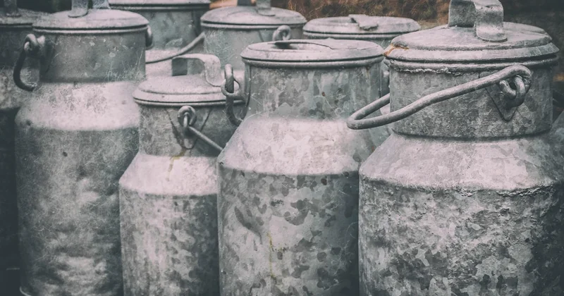 Que deviennent vraiment les bidons jetés en course ?