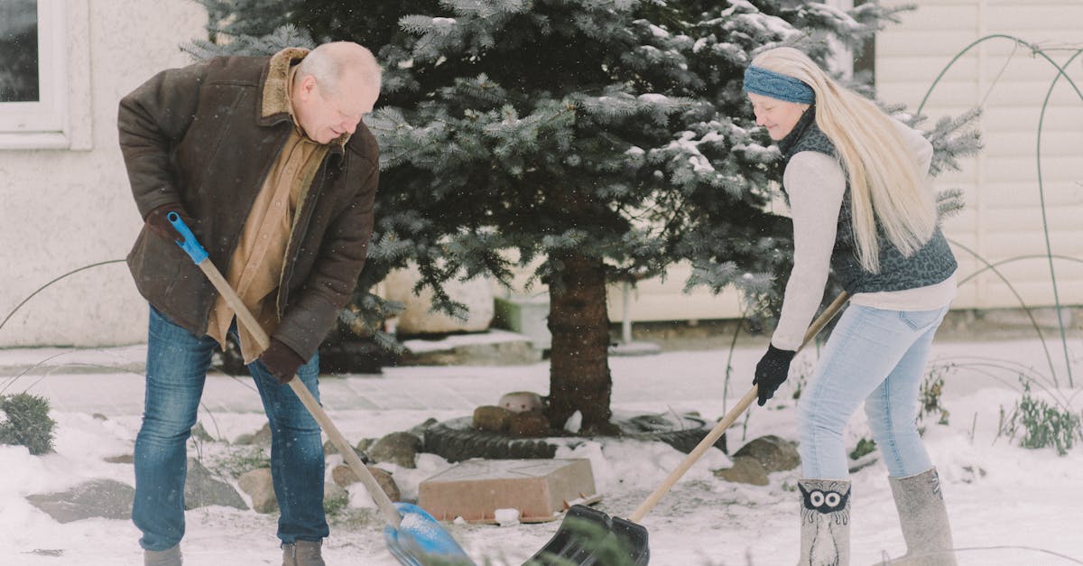 Collaboration pour le climat : L’importance de l’engagement collectif